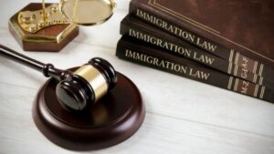 Best-Immigration-Law-Schools