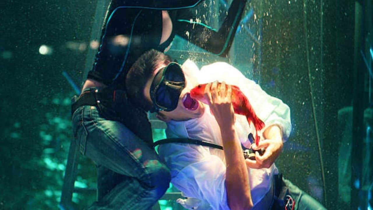 Best-Marine-Biology-Colleges