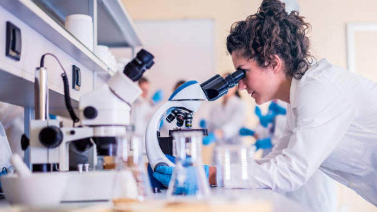 Best PA Schools In Arizona 2023